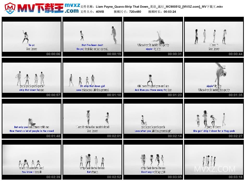 Liam Payne_Quavo-Strip That Down_英语_流行_MC900512
